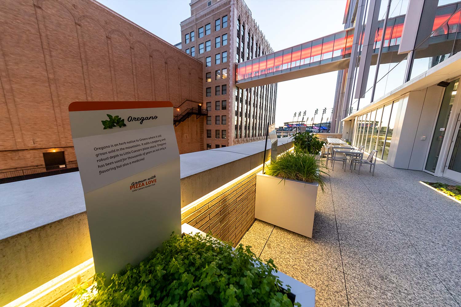 Olympia Development of Michigan